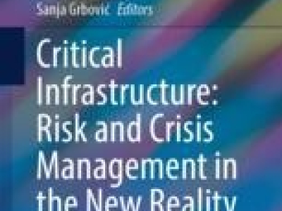 The Institute Featured in a Springer Nature Proceedings Publication